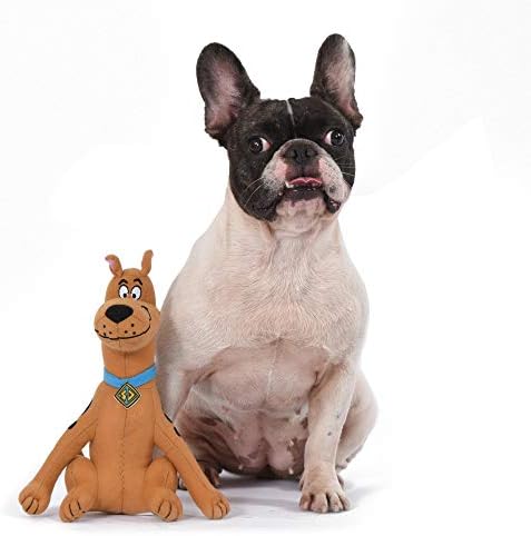 Scooby-doo עבור חיות מחמד Ruh-Roh כלב פריסבי עם חבל | אדום, כחול, צהוב וחום סקובי דו בד פריסבי לכלבים | צעצוע